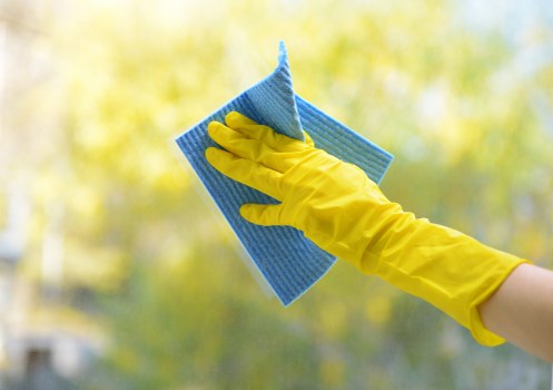 Clear accessible service information for carpet cleaning in Bayswater