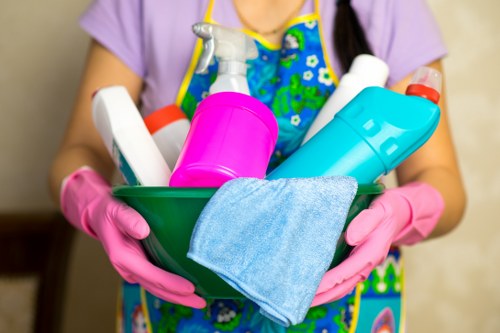 Professional stain removal for Bayswater carpet and upholstery cleaning