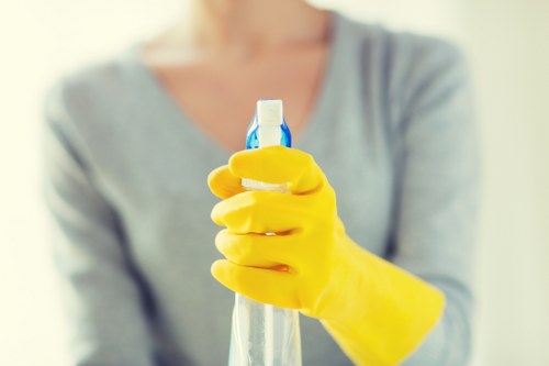 Detailed end of tenancy cleaning checklist for Bayswater customers