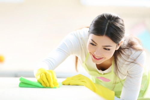 Local Bayswater house cleaning for apartments, townhouses, and family homes