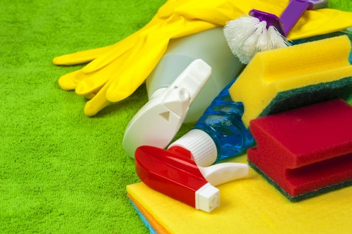 Professional carpet cleaning Bayswater team following safety standards