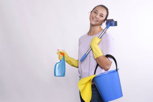 Bathroom deep cleaning service in Bayswater