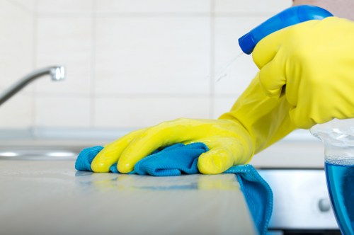 Cleaning a residential rug in a Bayswater living room