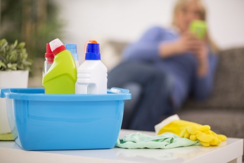 Local pet stain cleaning service for upholstery and carpets in Bayswater