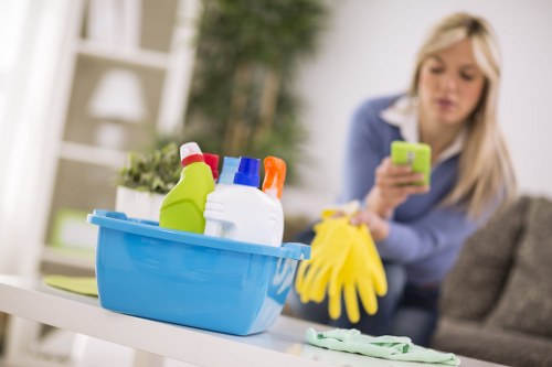 Deep cleaning equipment used for pet odour removal in a Bayswater property