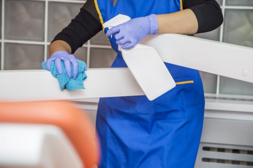 Deep carpet cleaning process for residential and commercial properties in Bayswater